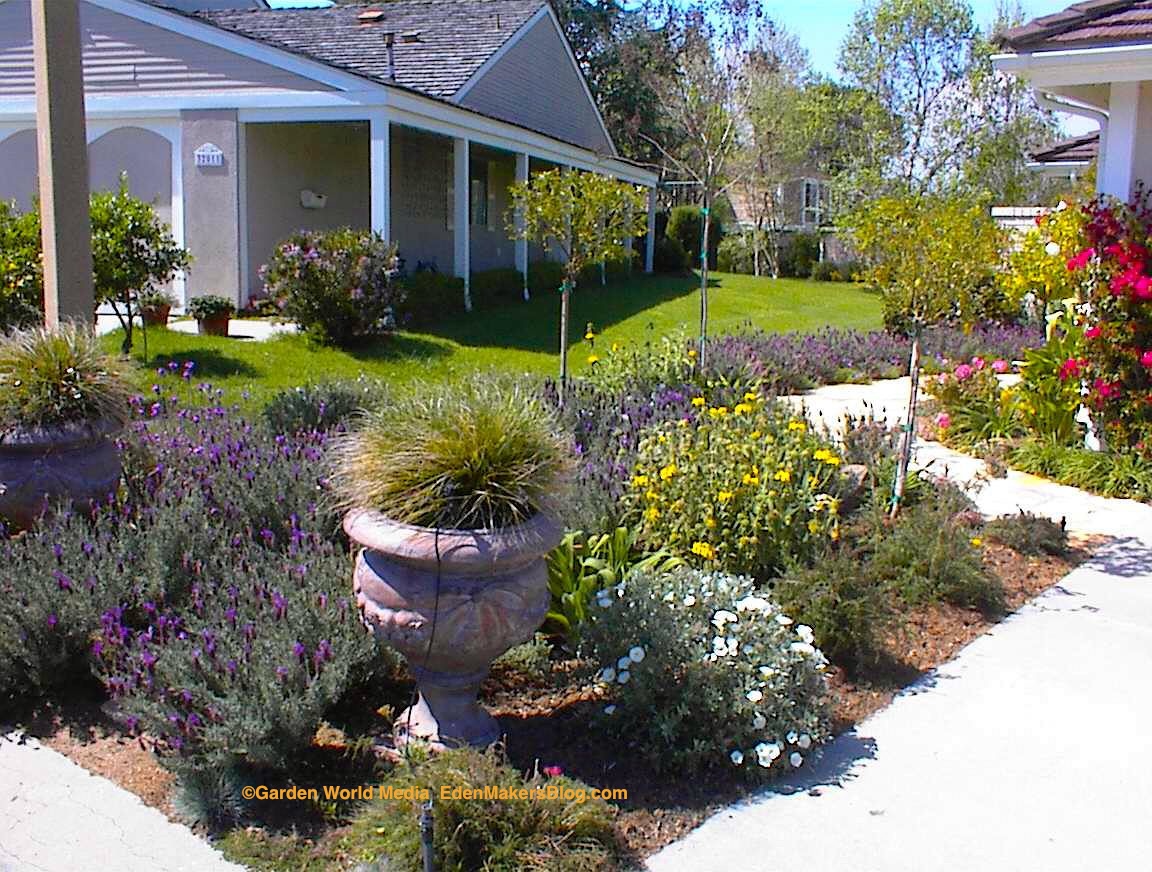 Front Yard Xeriscape Ideas | Small Yard Landscaping Ideas