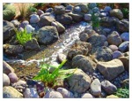Pondless Waterfall and Woodland Garden"