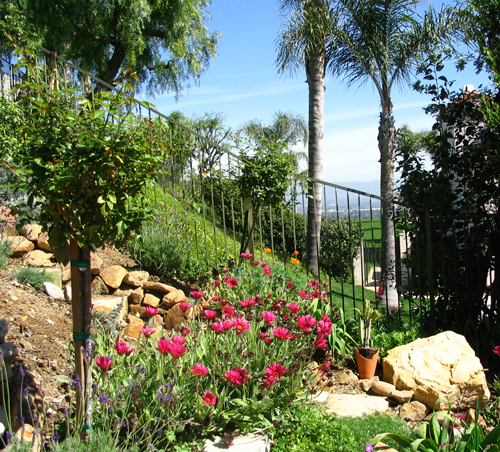 Garden with view of the valley