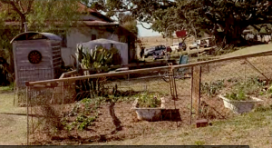 Bath_Tub_Raised_Garden_Bed_The_Tree_Movie_EdenMakers_Blog