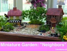 Miniature-Garden-Village-Shirley-Bovshow with two buildings- one is candy store and next door is the dentist