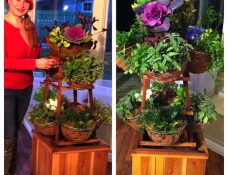 Shirley Bovshow's "Living Spice Rack" that spins and is portable.