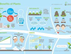 The-benefits-of-plants-edenmakers