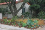 "Mediterranean, Succulent Garden"