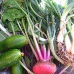 cucumber-beets-onion