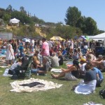 lawn-festival-seating