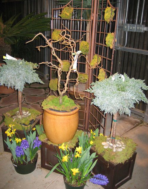 Create a “Winter to Spring” Garden Vignette With Potted Plants ...
