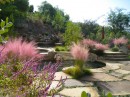 flagstone patio with ornamental grasses, muhlenbergia