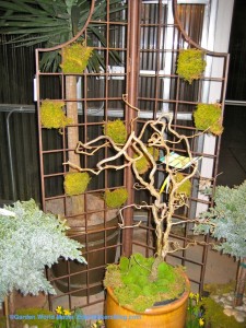 Metal trellis with checkerboard moss pattern in garden