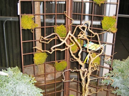 Metal trellis with checkerboard moss pattern in garden