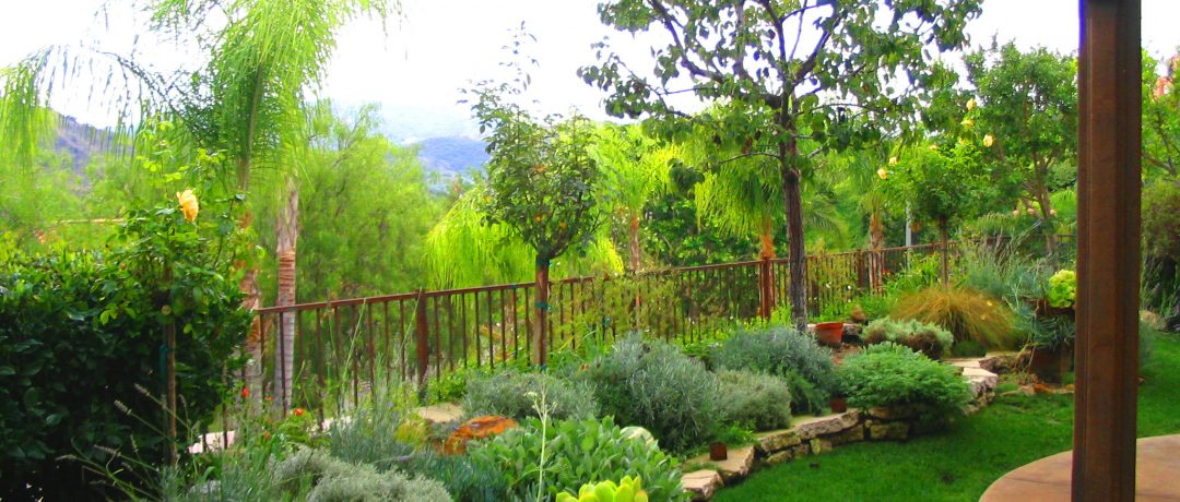 Garden-Design-with-view-los-angeles-palm-trees-Shirley-Bovshow-EdenMakers
