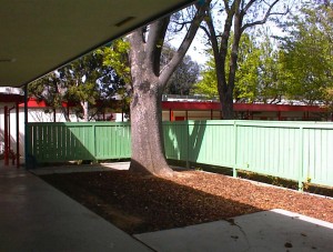 Future school garden site in front of library