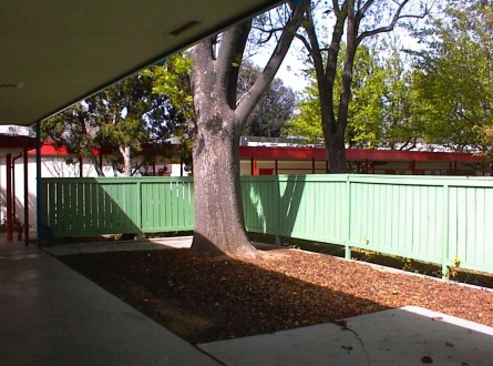 Future school garden site in front of library
