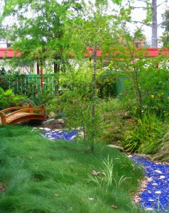 No mow red fescue and glass river in school garden by shirley bovshow