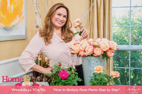 how to plant a rose plant with Shirley Bovshow of the Home an Family show on the Hallmark channel