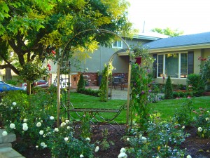 Front yard English garden with gravel patio, roses and fountain, arch