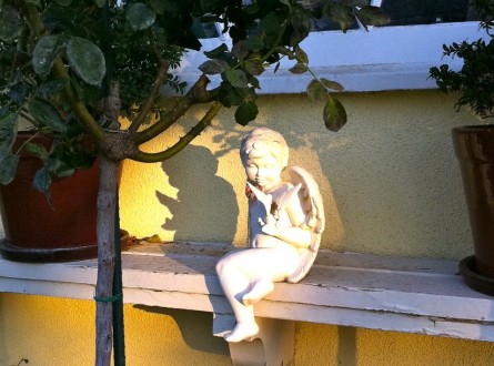 Garden cherub positioned in garden to catch the sunlight