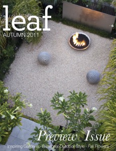 Leaf Magazine Exterior Design Preview Magazine Cover