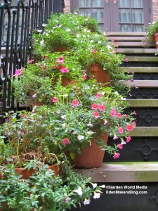 Potted Plants Near Front Door