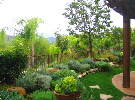 Shirley Bovshow Garden Design mediterranean style garden