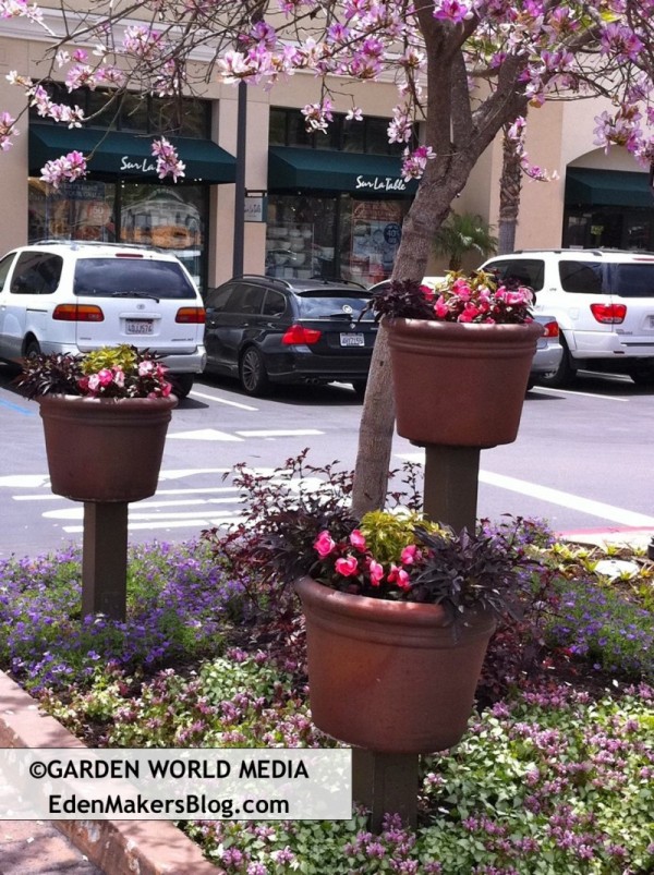 Garden Pots Container Gardens on Pedestals in Shopping Center