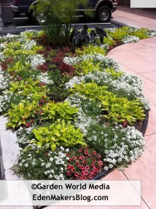 Mixed perennial and annual garden bed
