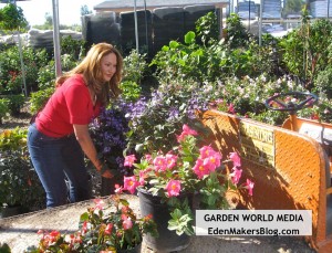 Shirley Bovshow landscape designer buying plants for a project