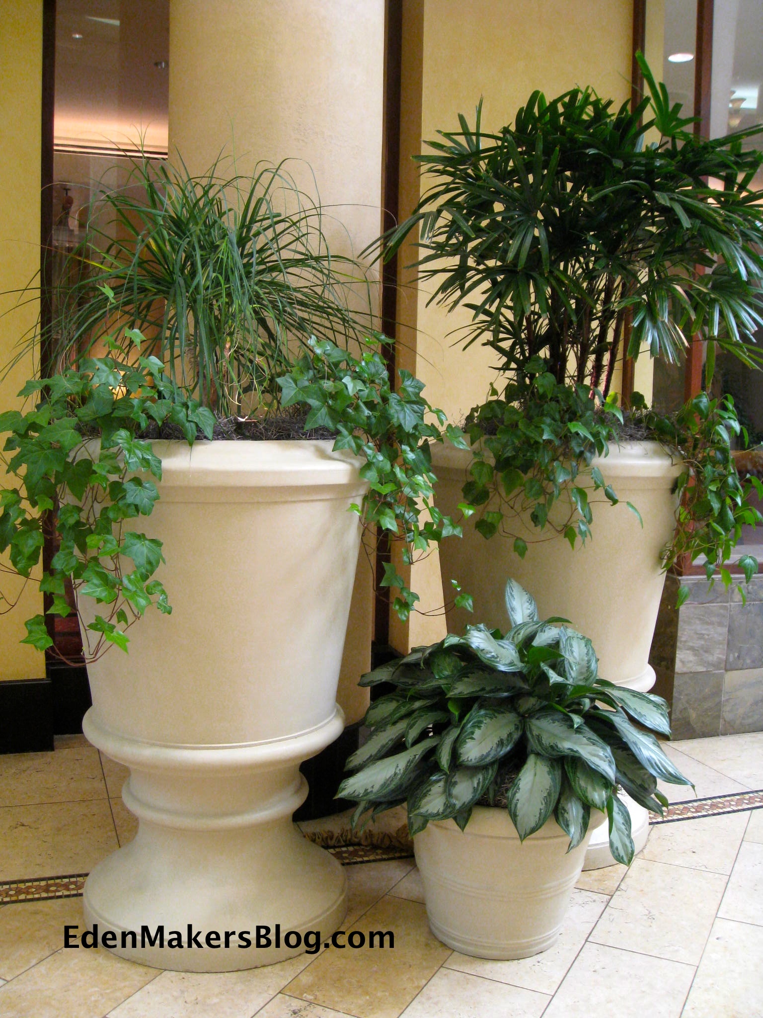 Large_Indoor_Planters_Separate_Different_Spaces
