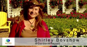 Shirley_Bovshow_How_Plants_Are_Bred_to_Become_Proven_Winners_plants_video_on_Garden_World_Report