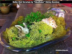 Butter dish terrarium with bunny and sea shell by Shirley Bovshow