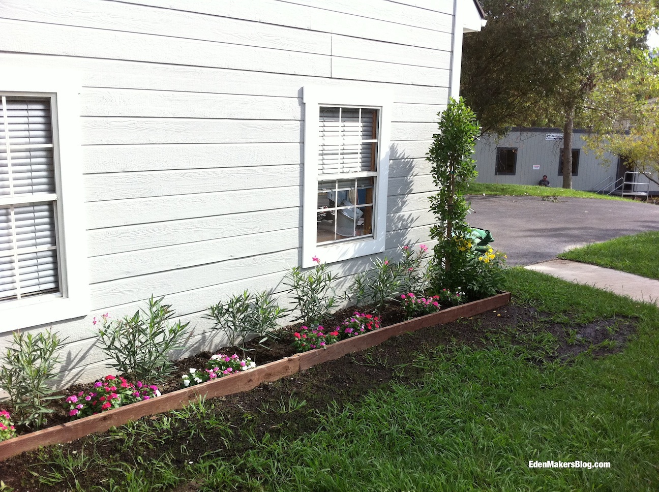 Home-and-Family-Show-Front Yard-Makeover-Before-Shirley-Bovshow