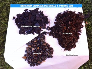 Drainage materials for terrarium include horticultural charcoal and pea gravel. Add potting spoil on top of drainage layer