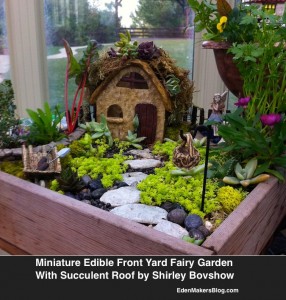 Edible Miniature Fairy Garden with-Succulent Roof by shirley Bovshow