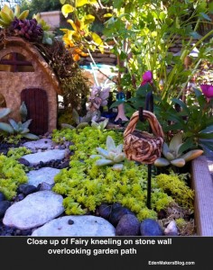 Fairy-kneeling-in-fairy-garden overlooking sedum lawn, stone path and succulent roof house. Shirley Bovshow