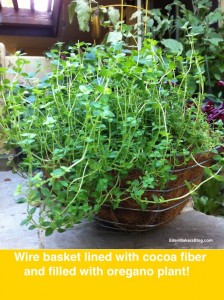 Herb-filled-metal-planter-coco-liner-edenamakersblog