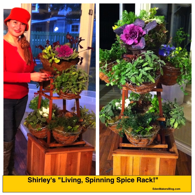 Shirley Bovshow's "Living Spice Rack" that spins and is portable.