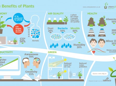 The-benefits-of-plants-edenmakers