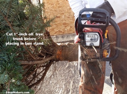 Fresh-cut-Christmas-tree-trunk-to preserve freshness edenmakersblog