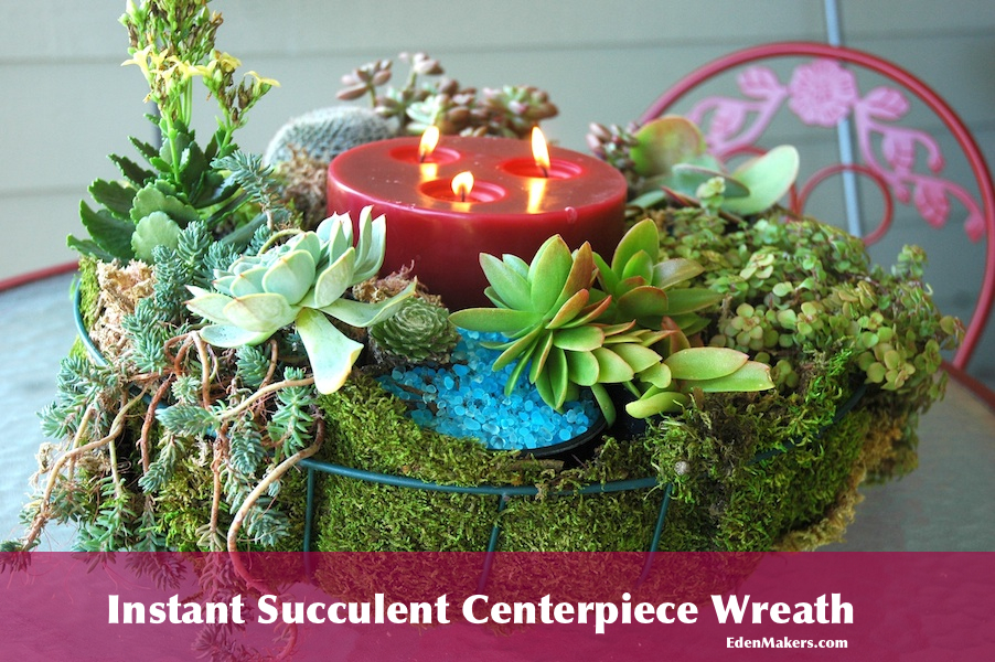 Instant-Succulent-Centerpiece-wreath-designed by Jenny Peterson as seen on shirley Bovshow's Garden World Report Show
