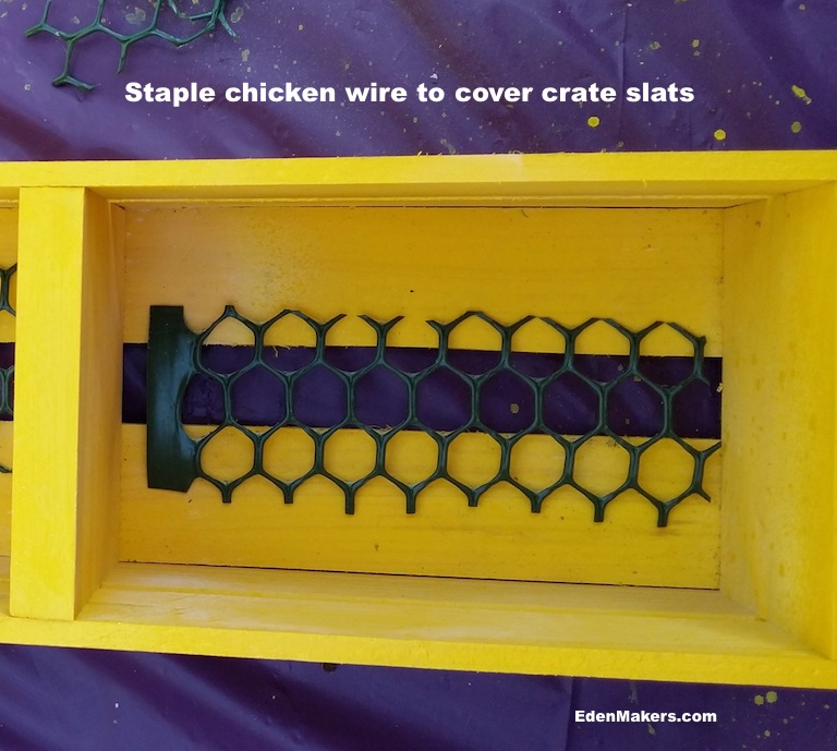 green-plastic-chicken-wire-in-wood-crate-slat