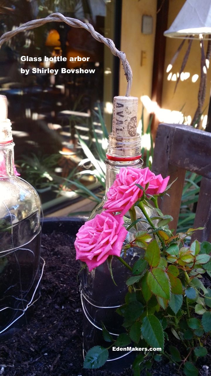 pink-mini-rose-growing-on-mini-arbor-perfect for Valentines edenmakers