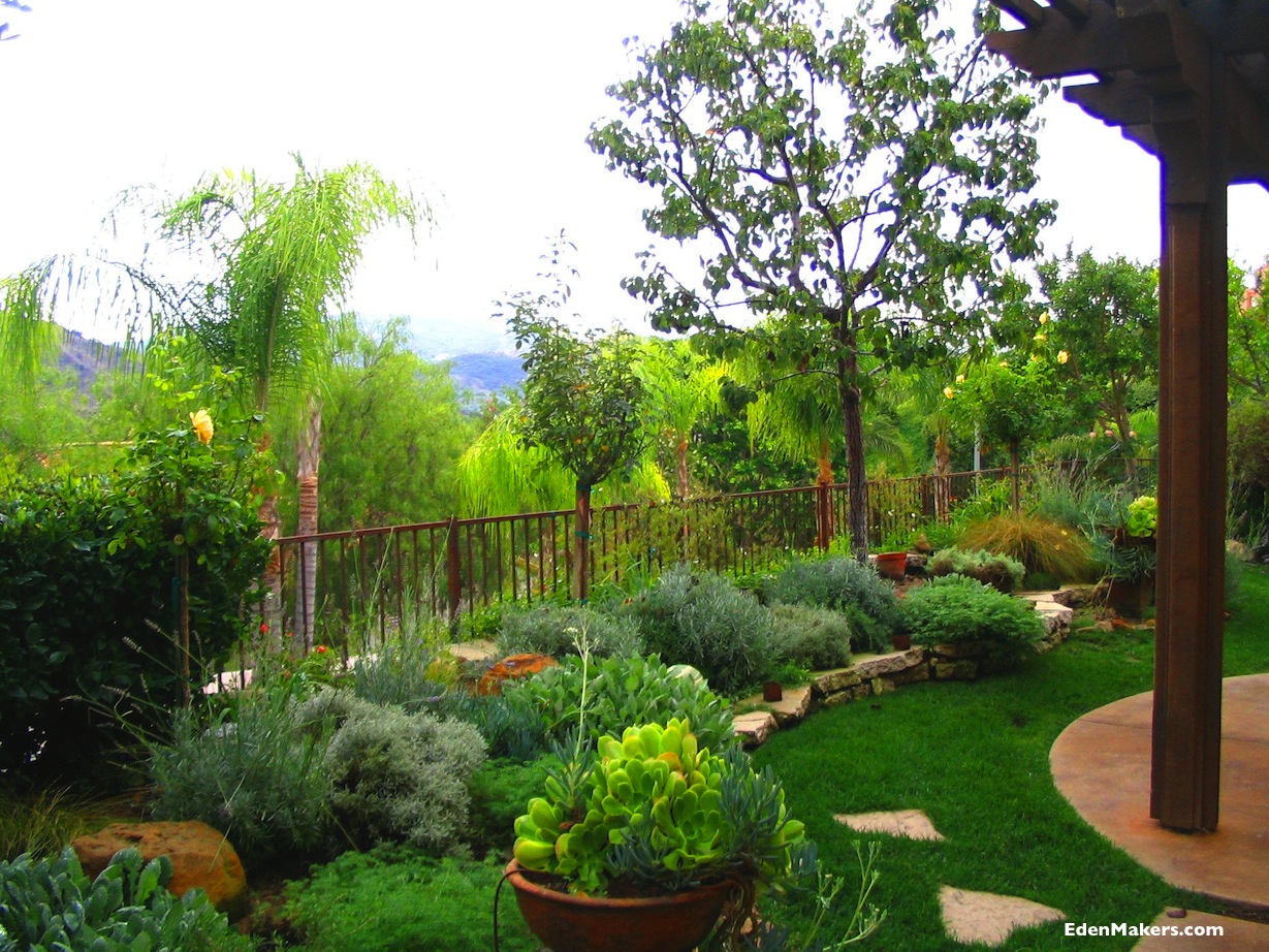 Raised-mediterranean-style-garden-low-water-plants-shirley-bovshow-edenmaker-blog