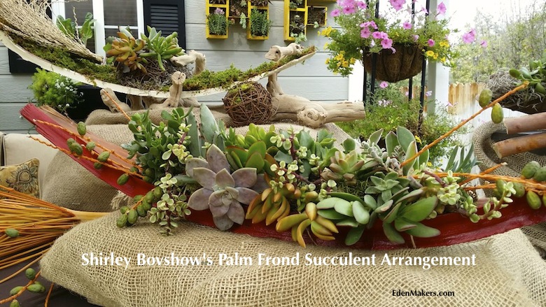 close-up-succulent-plant-combination-red-palm-frond-containers-shirley-bovshow-designer-edenmakers-blog