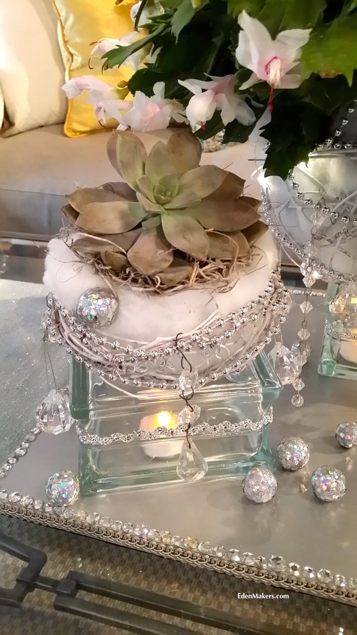 snow-ball-succulent-planter-crystsal-silver-bling-glass-shirley-bovshow-design-home-and-family-show-holiday-special-closeup-edenmakers-blogjpg