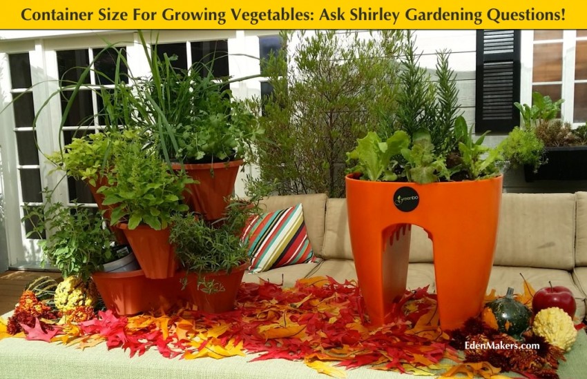 container sizes for growing vegetables small medium large explained edenmakers blog