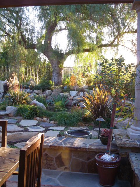 A California Pepper tree is the focal point above a naturalistic pond and gardens featuring ornamental grasses by Shirley Bovshow of EdenMakersBlog.com