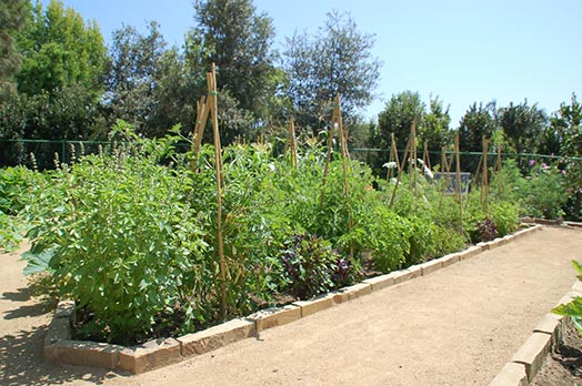 Edible Garden by John Lyons in Los Angeles
