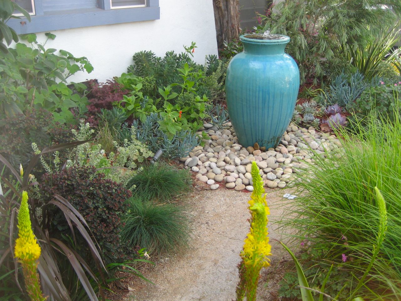 blue-fountain in low water garden
