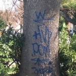 graffiti on a tree