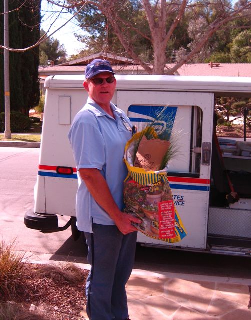 Mailman takes the ornamental grass divisions